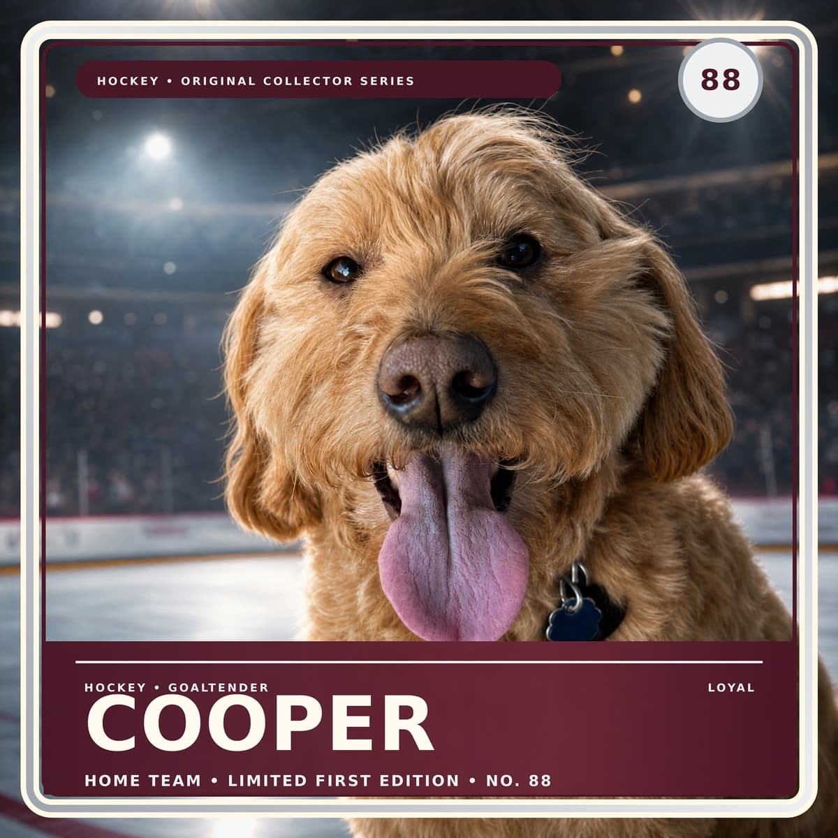 Dog as an all-star trading card — AI pet portrait example