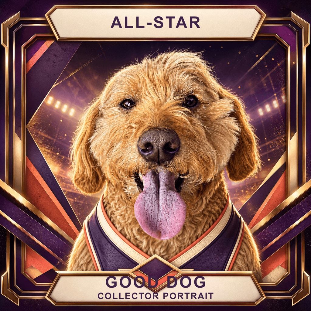 All-Star Trading Card pet portrait example 1